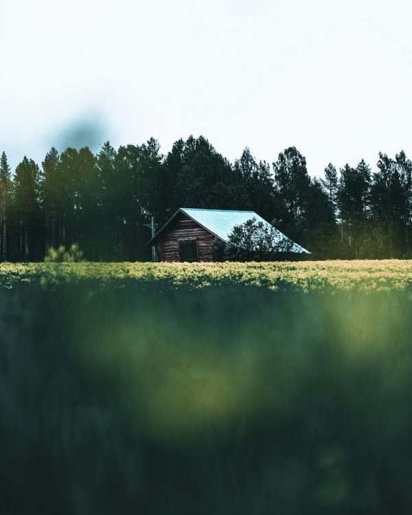Swedish-old-barn-flower-lada-grab-design
