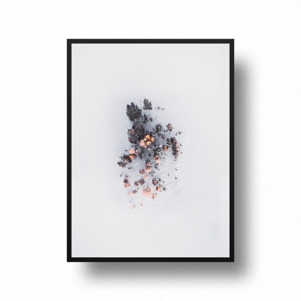 Printshop-Drop-Island-topdown-winter-drone-store