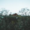 Fotograf-piteå-pite-jonathan-eriksson-foto-film-barn-lada-sommar-