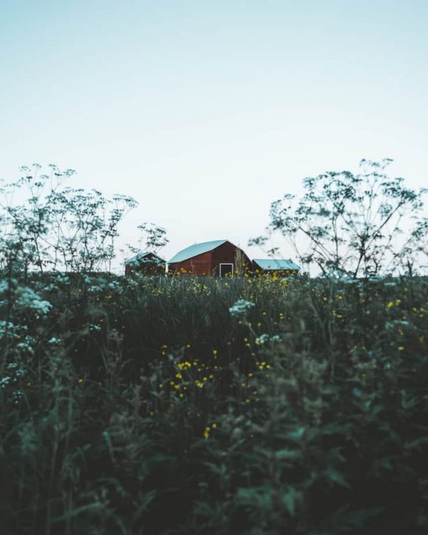 Fotograf-piteå-pite-jonathan-eriksson-foto-film-barn-lada-sommar-