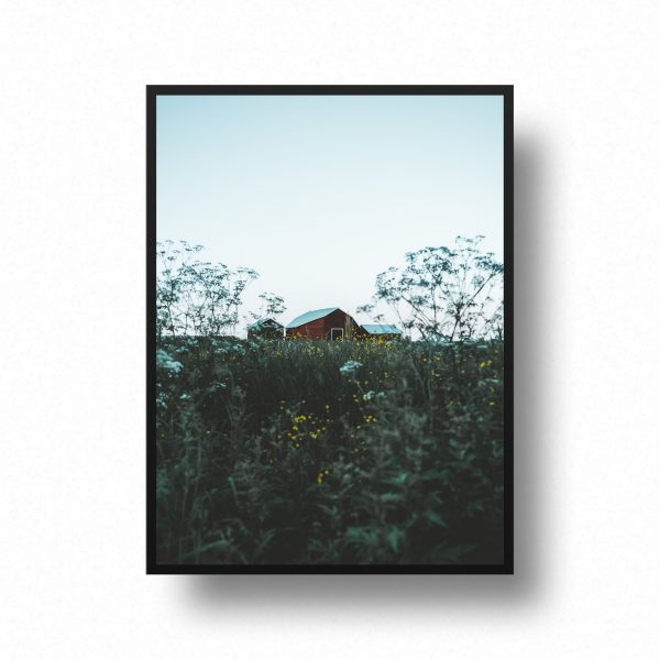 Printshop-Midsommar-summer-barn-lada-sverige-print-store-pite-piteå-grabdesign-grab-design